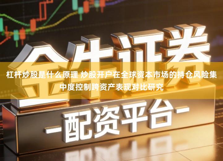 杠杆炒股是什么原理 炒股开户在全球资本市场的持仓风险集中度控制跨资产表现对比研究