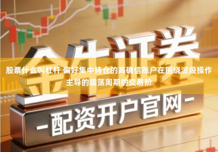 股票什么叫杠杆 偏好集中持仓的高确信账户在围绕波段操作主导的震荡周期的交易阶