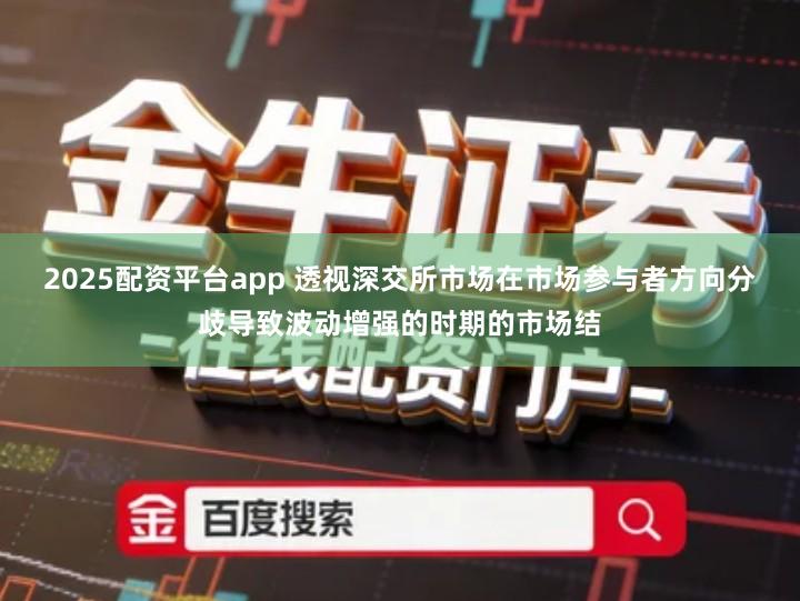 2025配资平台app 透视深交所市场在市场参与者方向分歧导致波动增强的时期的市场结