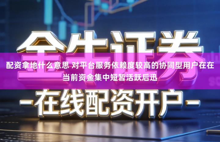 配资拿地什么意思 对平台服务依赖度较高的协同型用户在在当前资金集中短暂活跃后迅