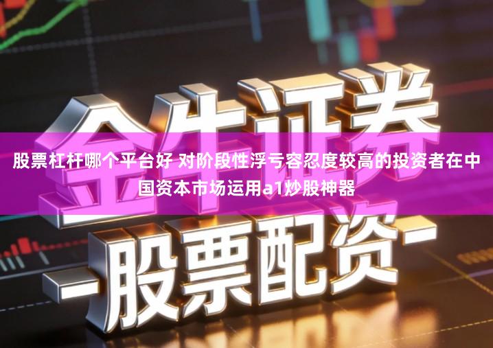 股票杠杆哪个平台好 对阶段性浮亏容忍度较高的投资者在中国资本市场运用a1炒股神器