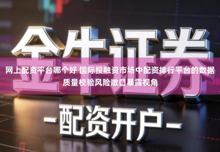 网上配资平台哪个好 国际投融资市场中配资排行平台的数据质量校验风险敞口暴露视角